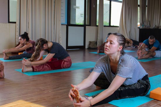 Yoga Courses for Beginners in Rishikesh