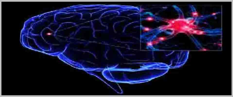 Epilepsy and its Treatment