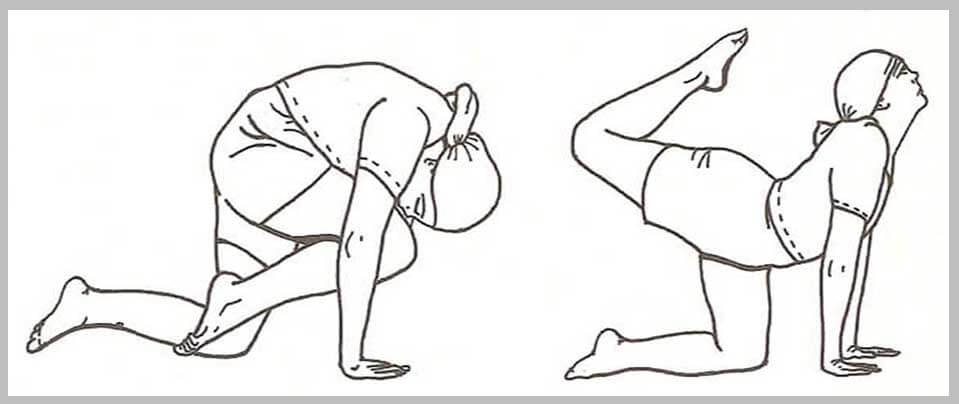 11 Yoga Poses to Help Correct Posture and Alignment - Circuit